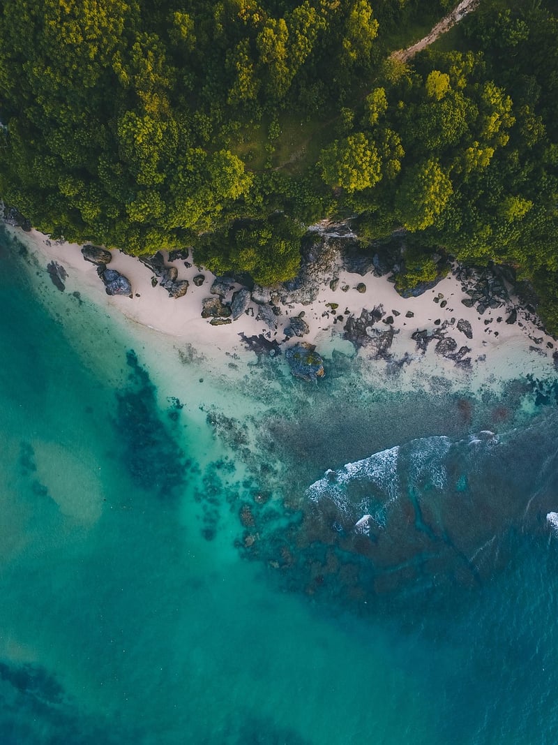 Exotic Resort